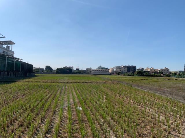 霧峰農舍-3