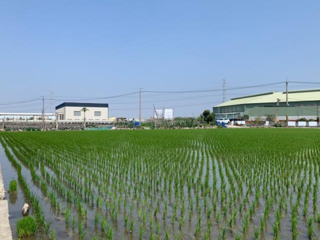 霧峰農地-5