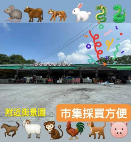 台中建地-9