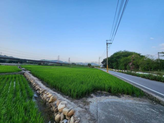 草屯農地-6