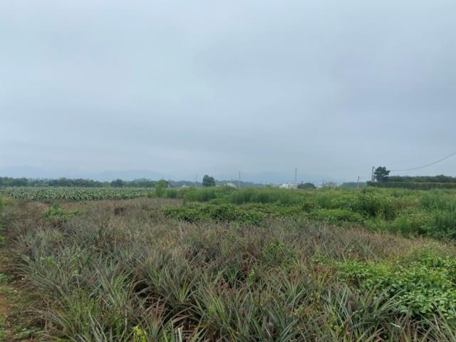 南投農地-4