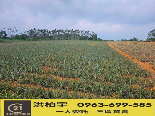 南投南投市農地-0