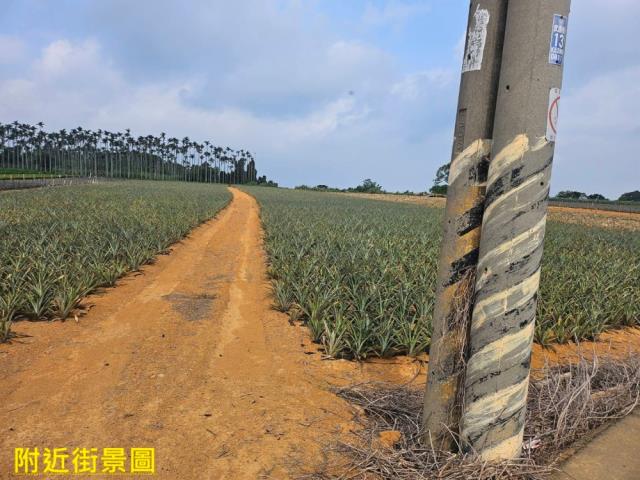 南投南投市農地-3