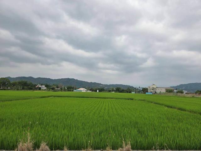 南投南投市農地-3