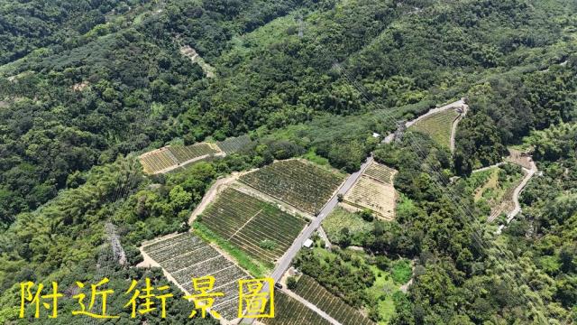 南投南投市農地-3