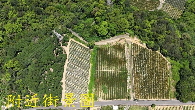 南投南投市農地-4