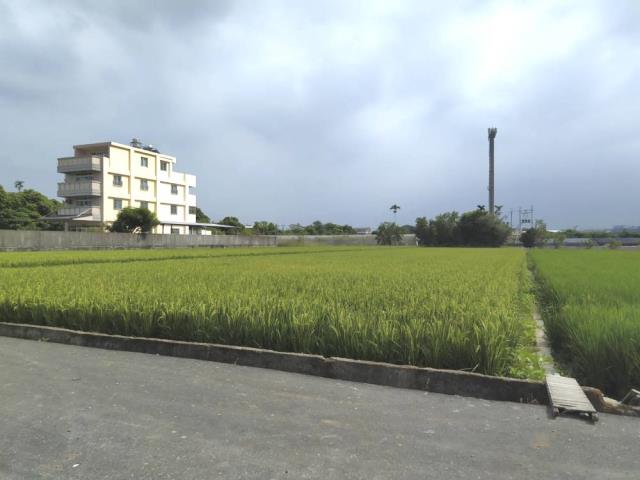 南投草屯農地-5