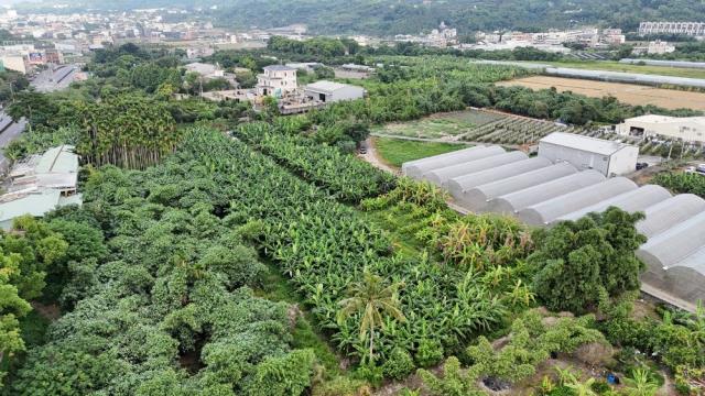 草屯農地-1
